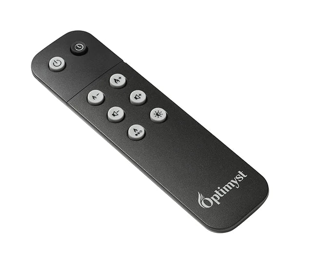Dimplex Opti-Myst Pro 500 20-inch Built-In Electric Cassette with Media Tray